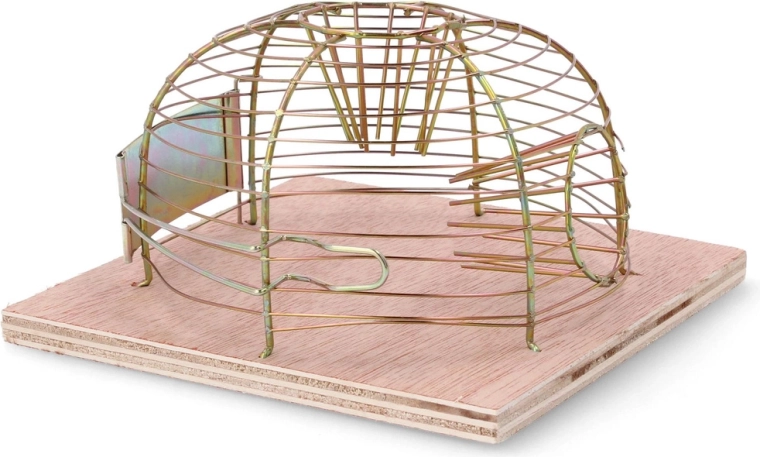 Humánní a bezpečný odchyt