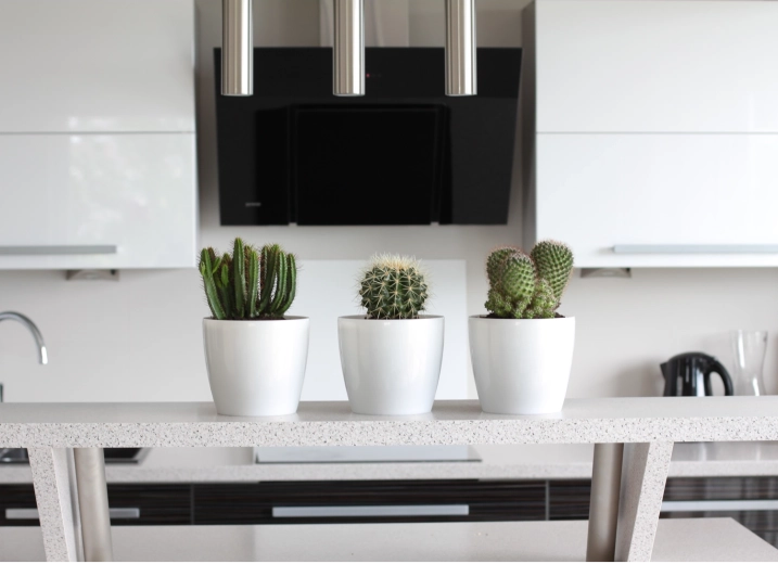 Všestranný pro interiér i exteriér