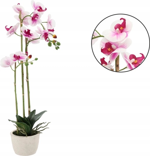 Žádná starost o péči