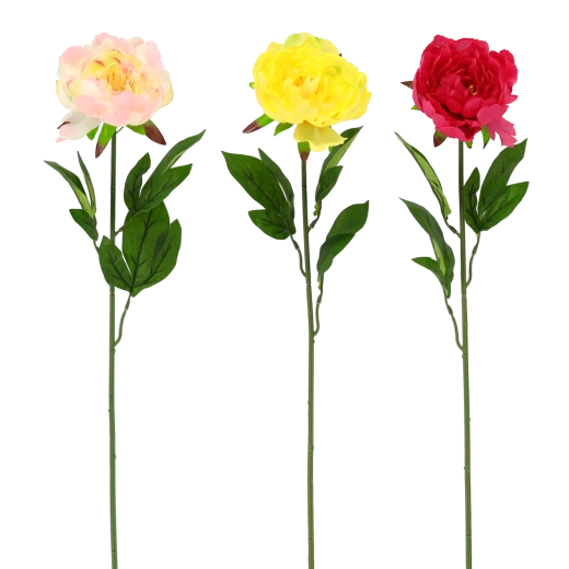 Realistická krása bez údržby