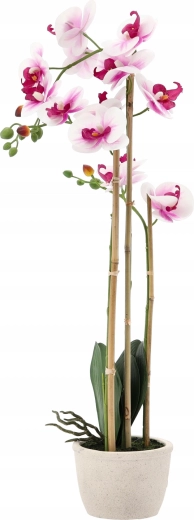 Ideální výška 70 cm