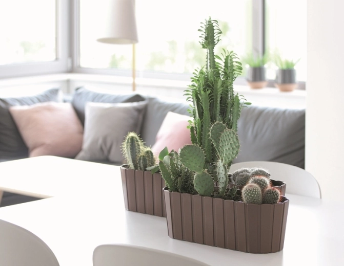 Ideální pro bylinky, sukulenty i květiny