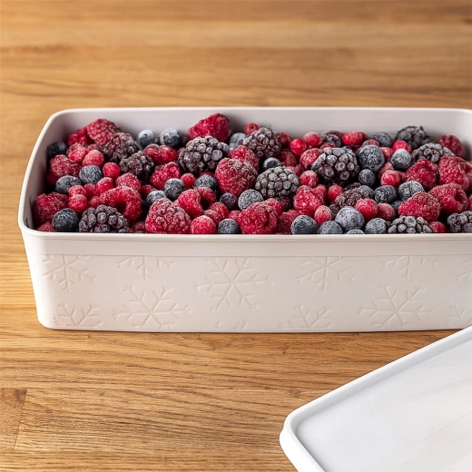 Bezpečné mrazení a organizace