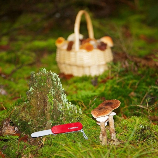 Licencovaný design VICTORINOX