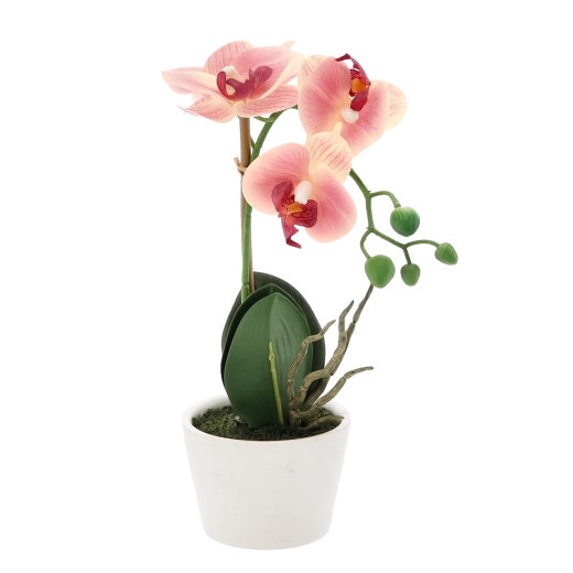 Kompaktní dekorace do každého prostoru