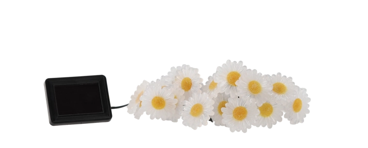 Kouzelná květinová atmosféra