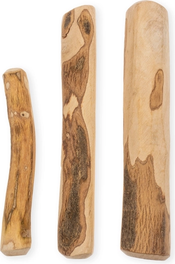 Podpora dentální hygieny