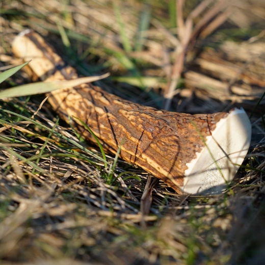 Udržitelný a přírodní produkt