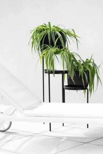 Styl, který ladí s moderním interiérem