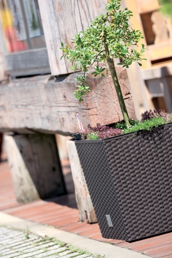 Pohodlné sázení díky vyjímatelné vložce