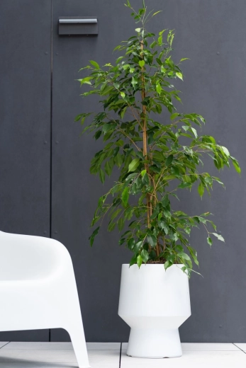 Minimalistický design do interiéru