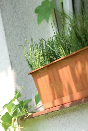 Moderní vzhled do každého exteriéru