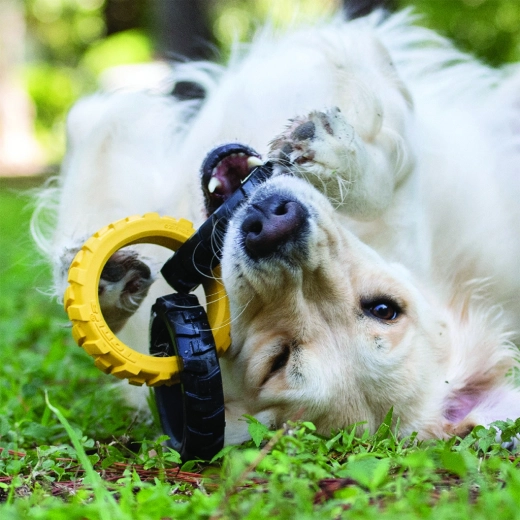 Interaktivní zábava doma i venku