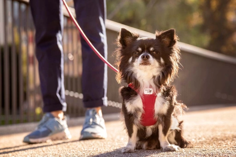 Prodyšný Air-Mesh s chladicím efektem