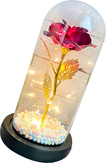 Ochranný skleněný klos