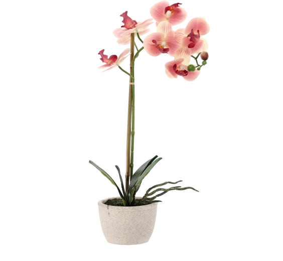 Bez údržby po celý rok