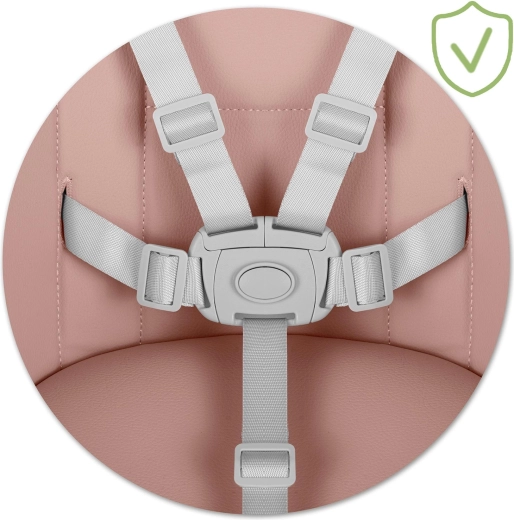 Maximální bezpečí s 5bodovým pásem