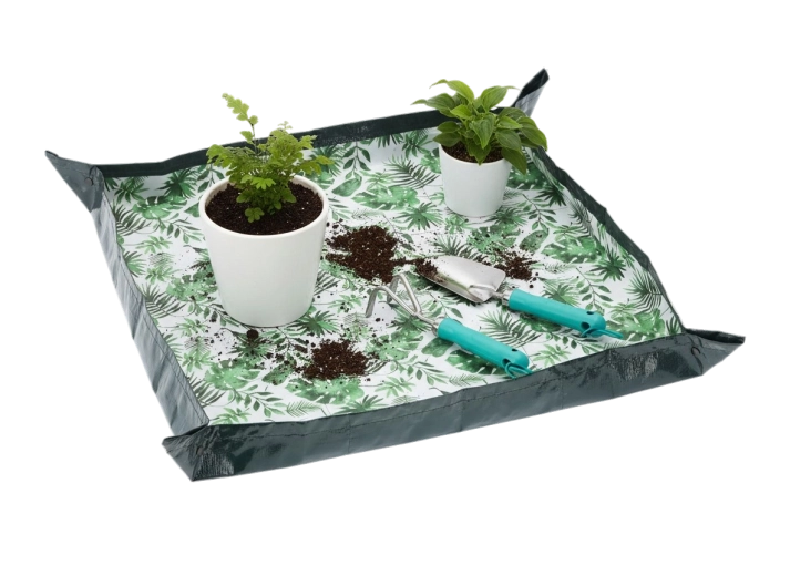 Čisté přesazování bez nepořádku