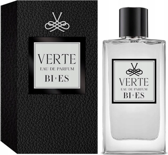Pánská parfémovaná voda BI-ES Verte 90 ml
