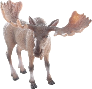 Realistické provedení pro věrný zážitek