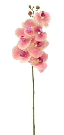 Bez údržby a vždy svěží vzhled