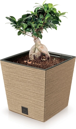 Lehký, ale pevný ECO materiál