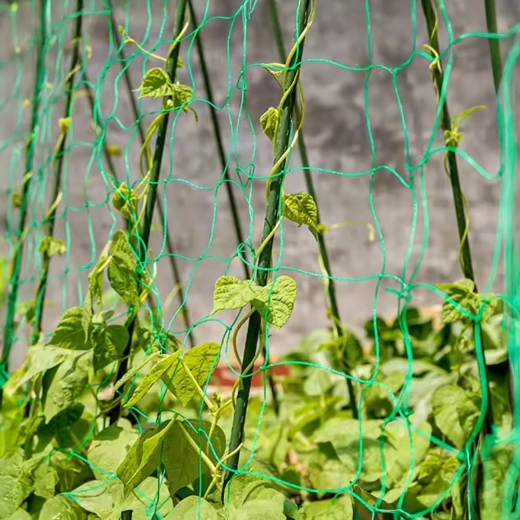 Vertikální opora pro bohatou úrodu