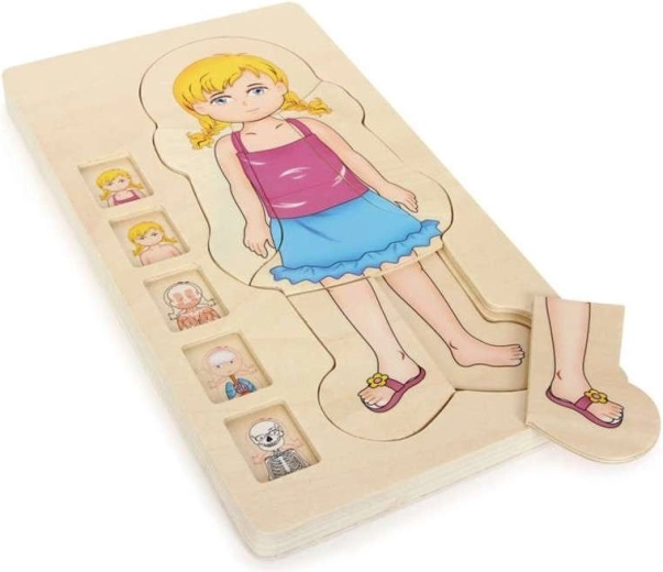 Dřevěné vrstvené puzzle anatomie těla dívky