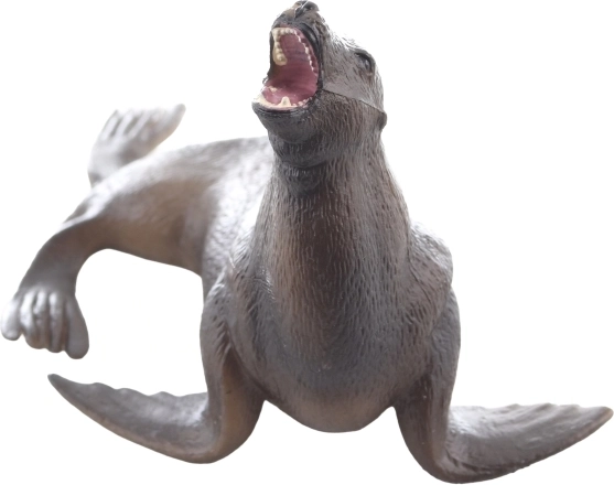 Skvělá pro učení o mořských zvířatech