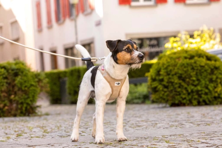 Bezpečnost při každém kroku