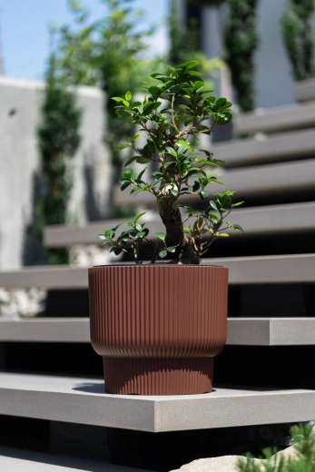 Vyjímatelná vložka s úchyty