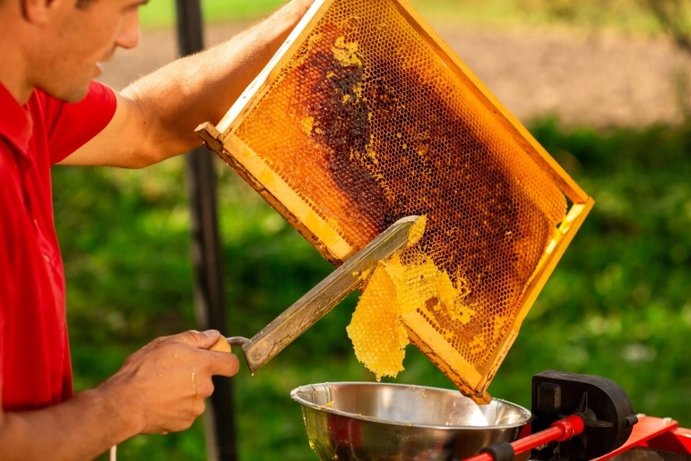 Ideální pro odvíčkování plástů