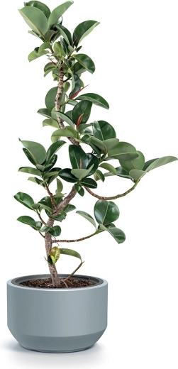 Lehký, ale odolný materiál