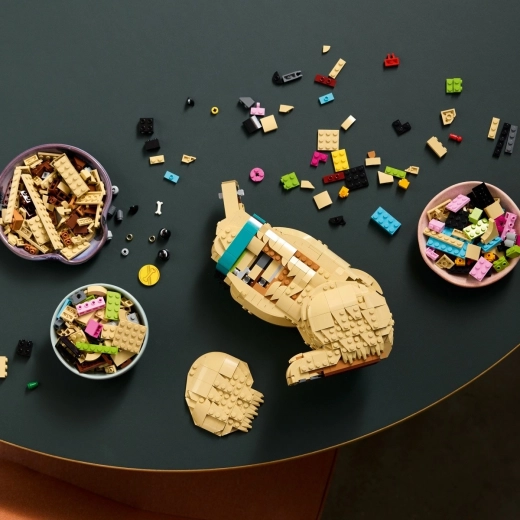 Zábavné stavění s podporou 3D návodu