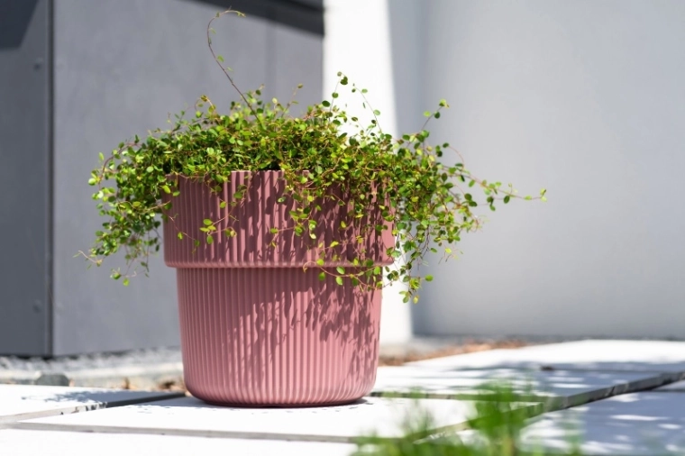 Moderní žebrovaný vzhled a měděná barva