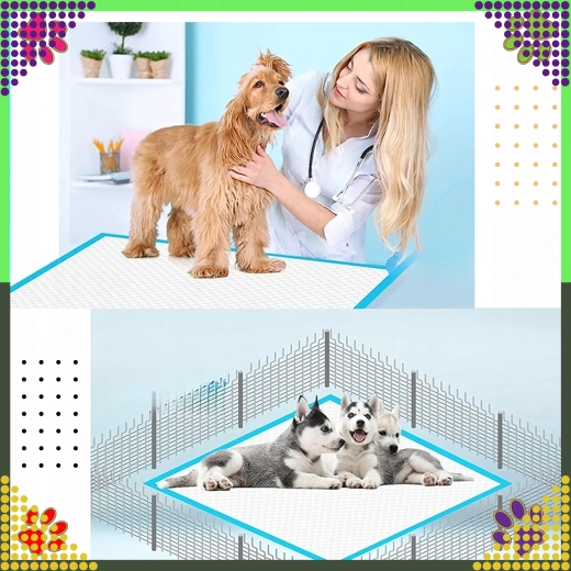 Čistota při výcviku i péči