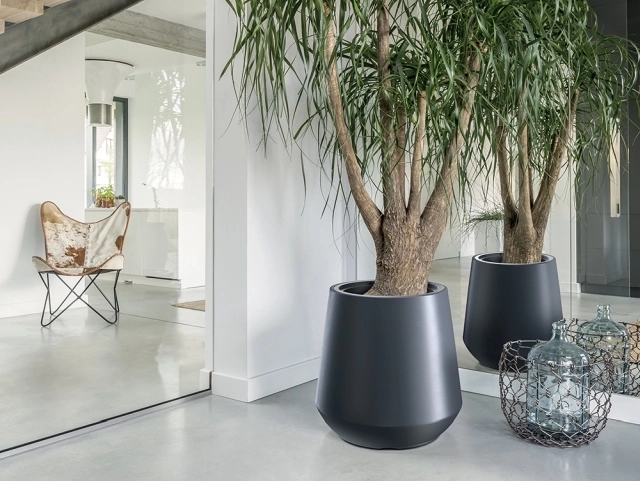 Moderní design do interiéru i exteriéru