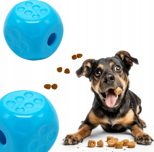 Zábava a trénink v jednom