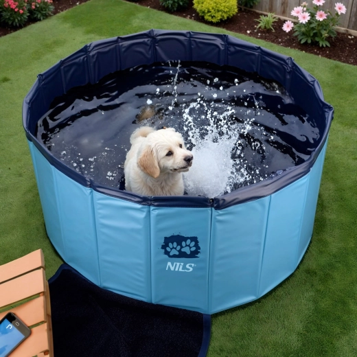 Ideální osvěžení pro malé a střední psy