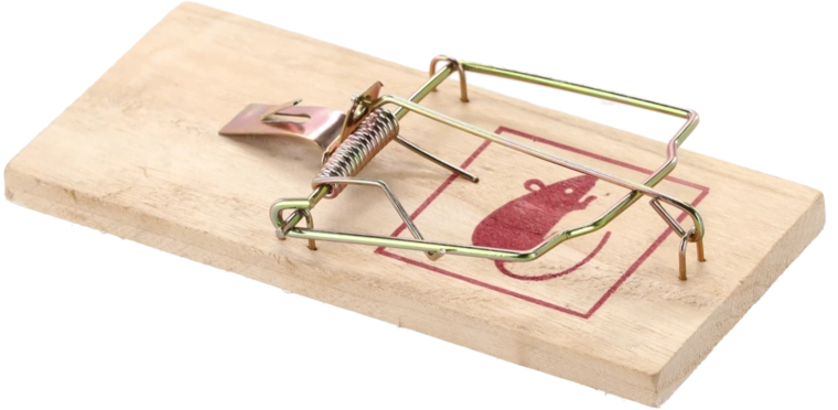 Odolná dřevěná základna