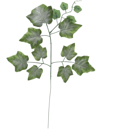 Sada 12 umělých větviček s listy vinné révy, zelené, 78 cm