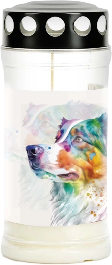 Hřbitovní svíčka Provence – pes, výdrž 4 dny