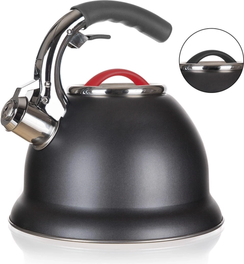 Nerezová pískací konvice ADVANTAGE 2,7 l