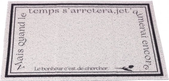 Protiskluzová vstupní rohož 60 × 90 cm