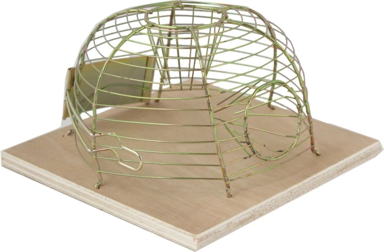 Živolovná past na myši 14 × 14 cm