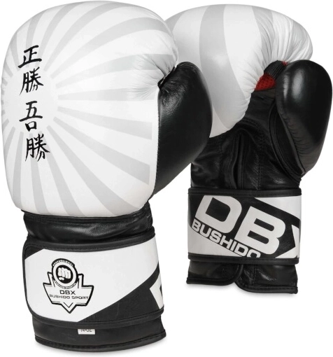 Boxerské rukavice DBX Bushido B-2v8 Japan