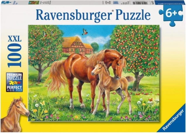 Puzzle Koně na pastvině XXL