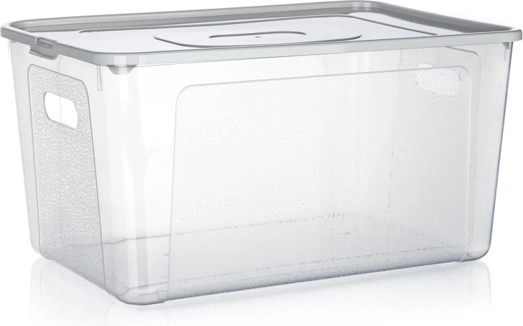 Úložný box s víkem 17 l MULTIBOX – průhledný plast