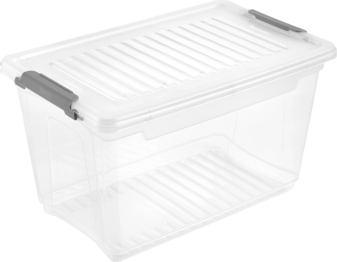 Plastový úložný box s víkem Leonie 5,4 l