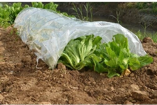 Zahradní fóliovník tunel 300 × 65 × 45 cm